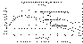 scramrm.gif (5688 bytes)