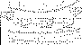 vireo2.gif (5082 bytes)